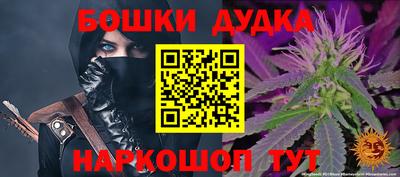 мдпв Будённовск