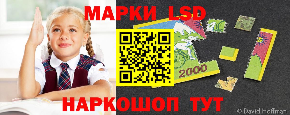 Сокол  LSD-25 экстази  Вход с VPN  LSD-25 экстази кислота 