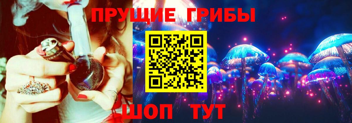 Псилоцибиновые грибы Magic Shrooms Сокол