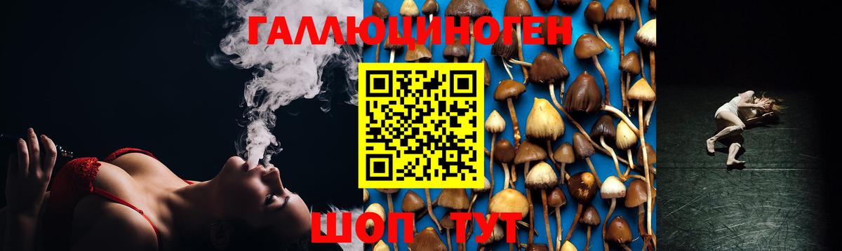 Сокол  Галлюциногенные грибы Psilocybe  Вход с VPN  Галлюциногенные грибы GOLDEN TEACHER 