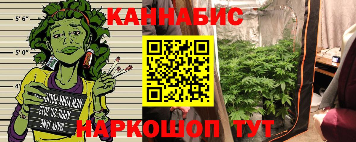 Сокол  Канабис White Widow  Вход с VPN  Марихуана MAZAR  Бошки Шишки тримм 